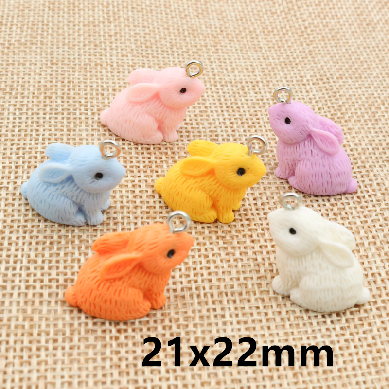 10PCS Resin Pendant Charms Rab - Resin Art Notes incelemesi ve fiyatı